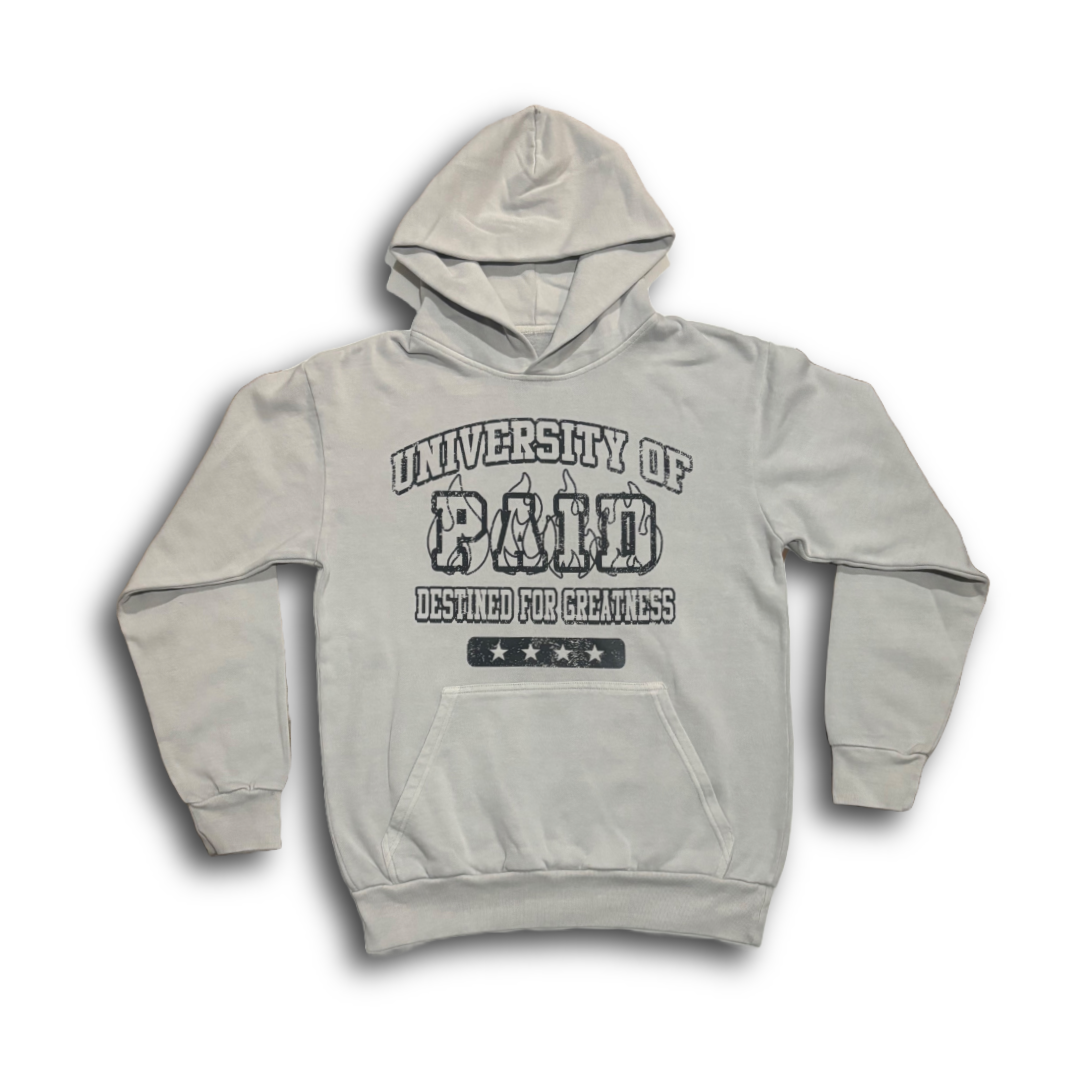 "UNIVERSITY OF PAID" SOLID HOODIE